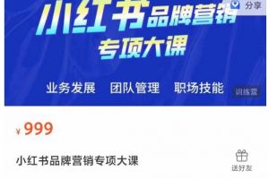 小红书品牌营销专项大课，操盘手进阶，一套能让你提升业务精进的课程