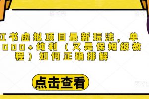 小红书虚拟项目最新玩法，单天1000+纯利（又是保姆级教程文档）