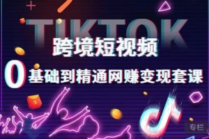 跨境短视频TIKTOK 0基础到精通网赚变现套课，跨境短视频独立站带货变现技巧