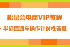 松鼠会电商VIP教程：松鼠《付费推广标品·半标直通车操作针对性答疑&诊断》