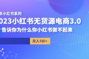 阿本小红书无货源电商3.0，告诉你为什么你小红书做不起来