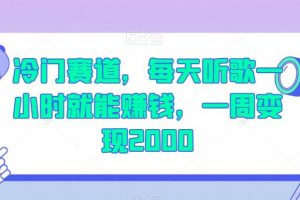 冷门赛道，每天听歌一小时就能赚钱，一周变现2000【揭秘】