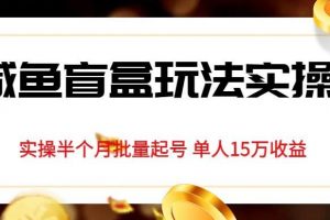 独家首发咸鱼盲盒玩法实操，半个月批量起号单人15万收益【揭秘】