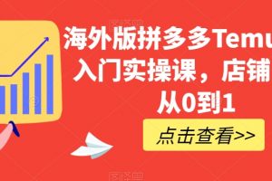 海外版拼多多Temu快速入门实操课，店铺实战从0到1