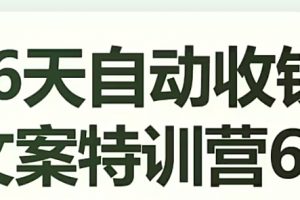 16天自动收钱文案特训营6.0，学会儿每天自动咔咔收钱