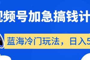 视频号加急搞钱计划，蓝海冷门玩法，日入500+【揭秘】