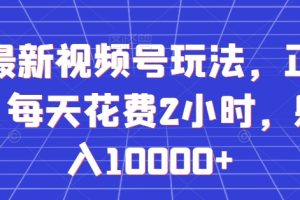 全网最新视频号玩法，正能量赛道，每天花费2小时，躺着月入10000+【揭秘】